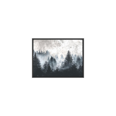 The Forest Beyond the Haze