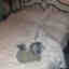 Photos des clients 2 de 3