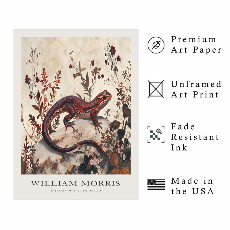 Animaux, motif de salamandre, reproduction d'art sans cadre William William Cottage