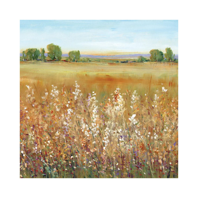Abundance Of Wildflowers II by Tim OToole - Wrapped Canvas Painting, 45.72 cm H x 45.72 cm W x 1.91 cm D