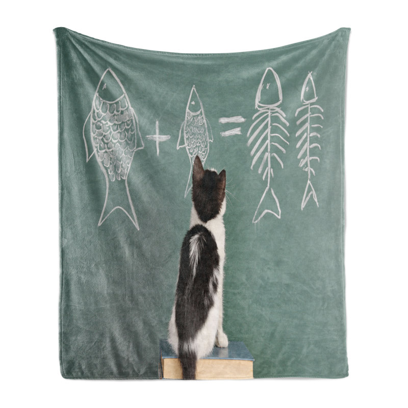 Ambesonne Kitten Fleece Throw Blanket Arithmetic Fish Problem 60"x80" Multicolor