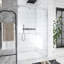 Porte de douche coulissante double l 48 po x H 75 po-104339002