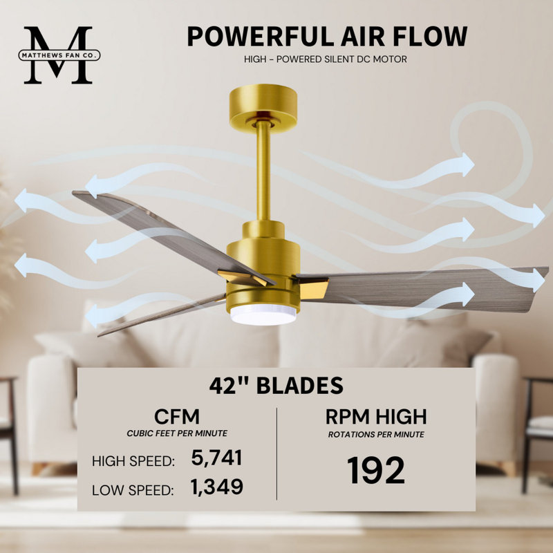 Alessandra - Three Blade Transitional Ceiling Fan -LED, Brushed Brass, 42", Gray Ash Tone