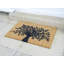 Aenwood Non-Slip Indoor Doormat
