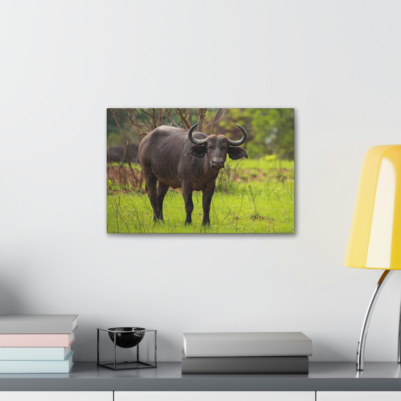No Frame Print on Canvas, 27.94cm H x 35.56cm W