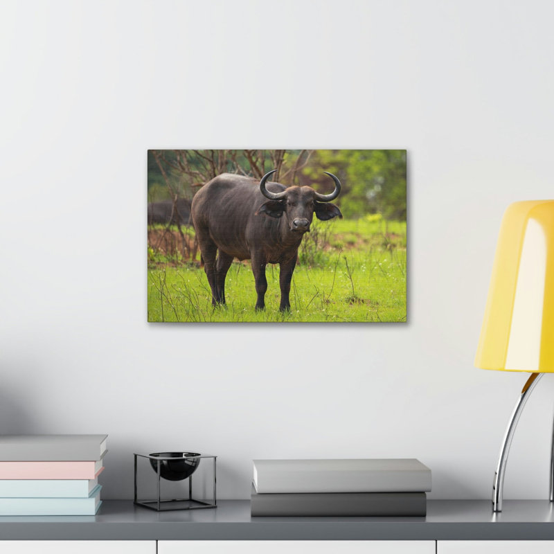 Wall Art on Canvas, 27.94cm H x 35.56cm W