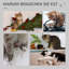 Jabari 304.8cm H Cat Tree