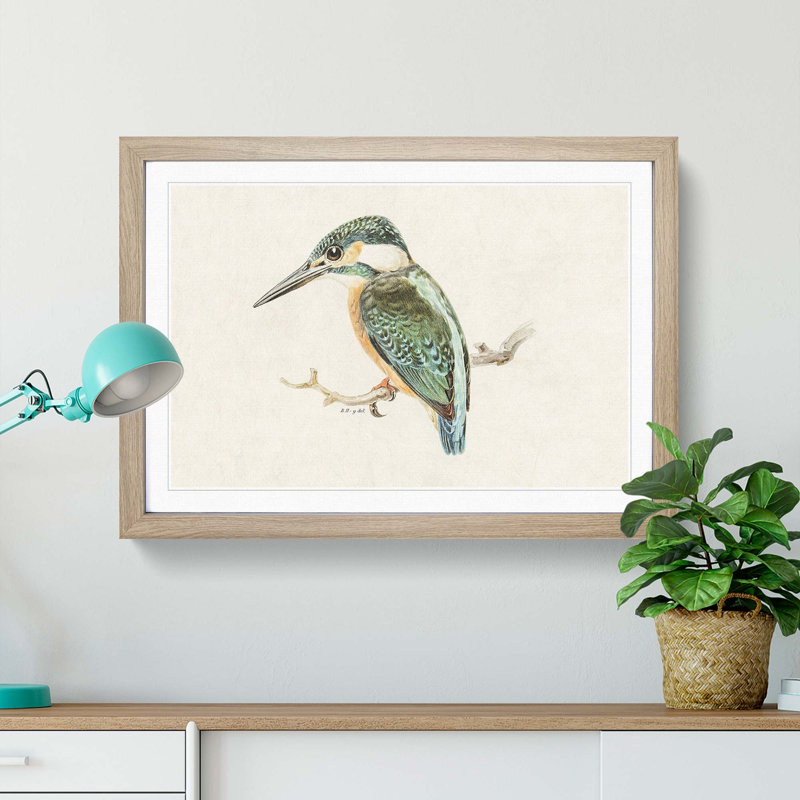 Kingfisher by Von Wright - Picture Frame Graphic Art Print, 48cm H x 65cm W x 2cm D, Oak Framed