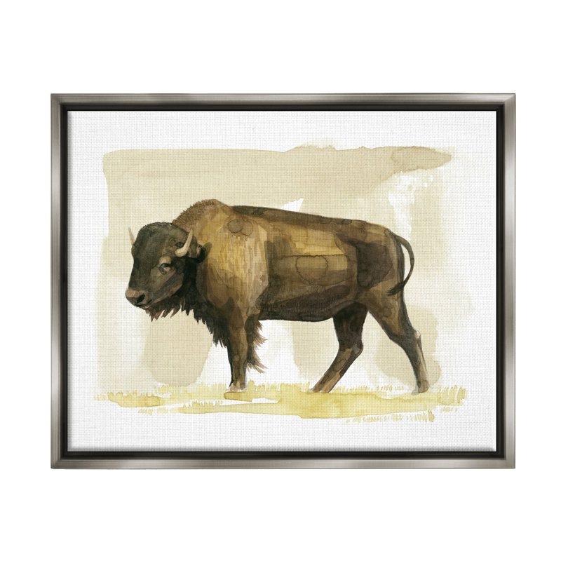 Bison, animal de campagne, aquarelle, H 17 po x l 21 po x P 1,7 po, Cadre flottant gris lustré