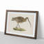 Eurasian Curlew by Von Wright - Picture Frame Painting Print on MDF-55539436-55539437