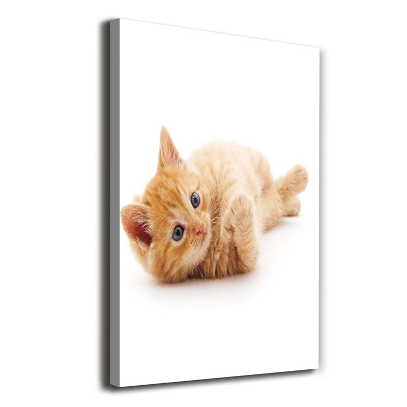 Little Red Cat - Wrapped Canvas Print