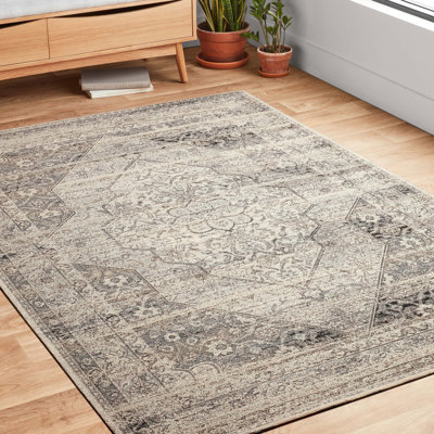 Kiera-Lee Oriental Indoor / Outdoor Rug