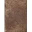 Rapture Area Rug in Brown-796482102