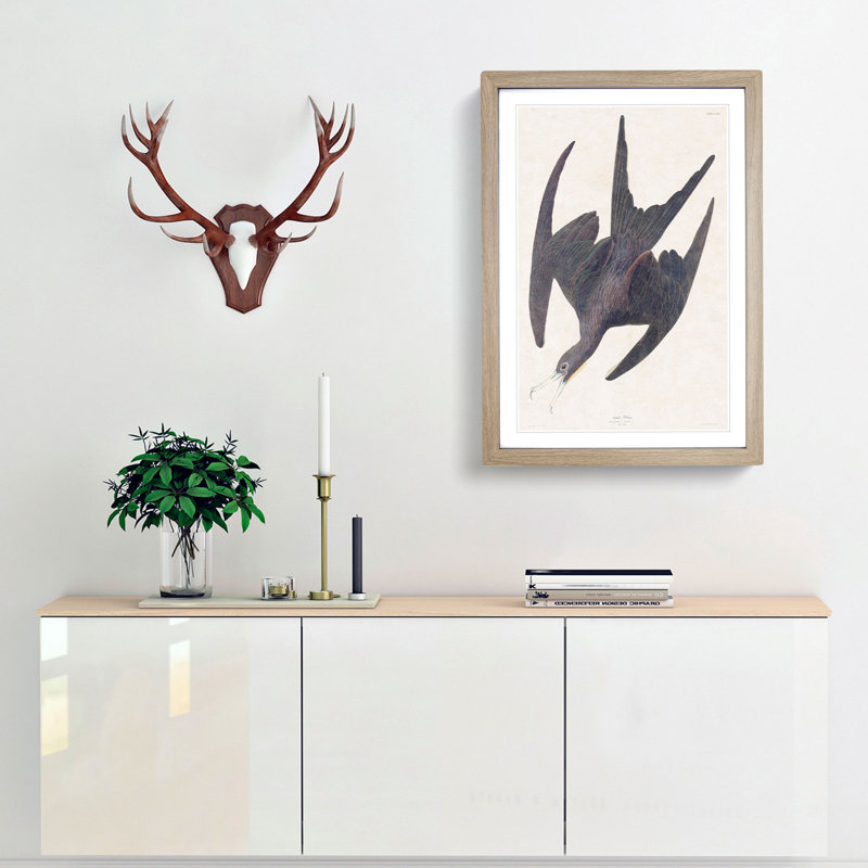Frigate Pelican by John Audubon - Framed Print, Oak Framed, 65cm H x 48cm W x 2cm D