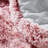 Are You Kidding Polyester Baffle Box Stitch Comforter Set-51221431-51221433