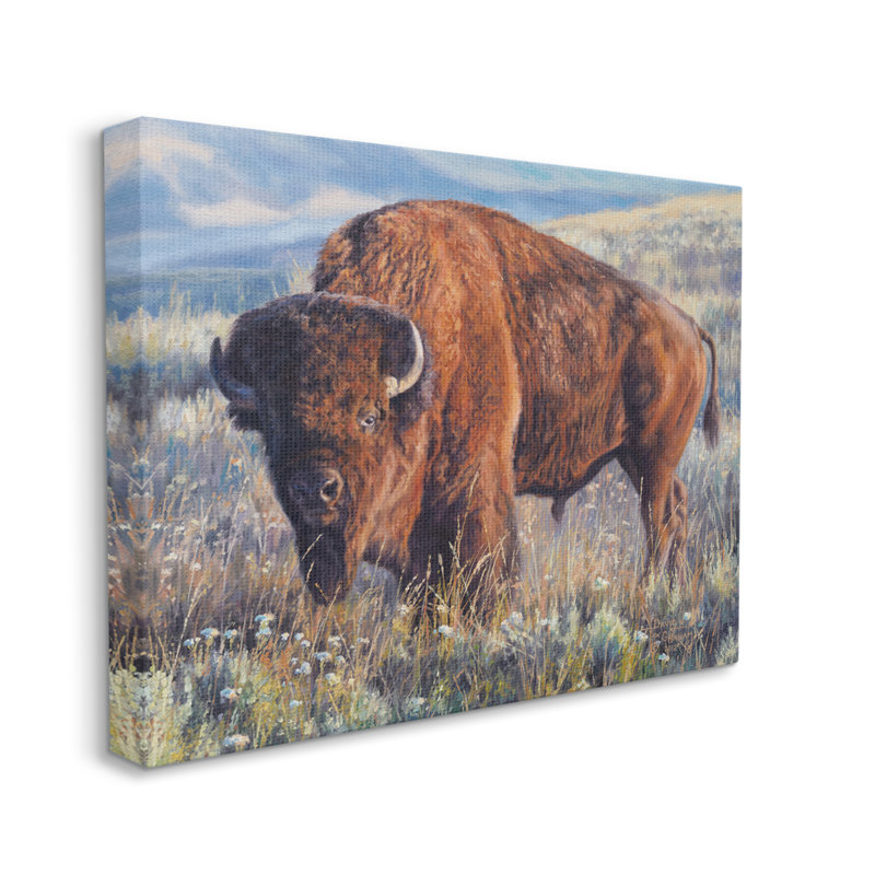 Bison qui broute dans la prairie sur toile par © David Graham, H 36 po x l 48 po x P 1,5 po