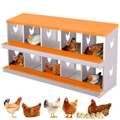Chicken Coop