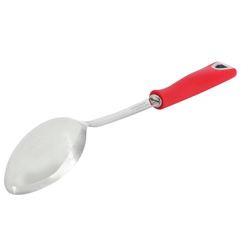 Martha Stewart Everyday Drexler Stainless Steel Serving Spoon in Red