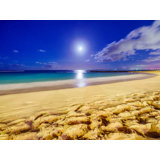 Waikiki Beach Moonlight In Hawaii Print by Brian Mc Clean