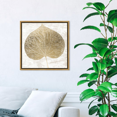 Cercis " Floral And Botanical>Botanicals>Leaf "