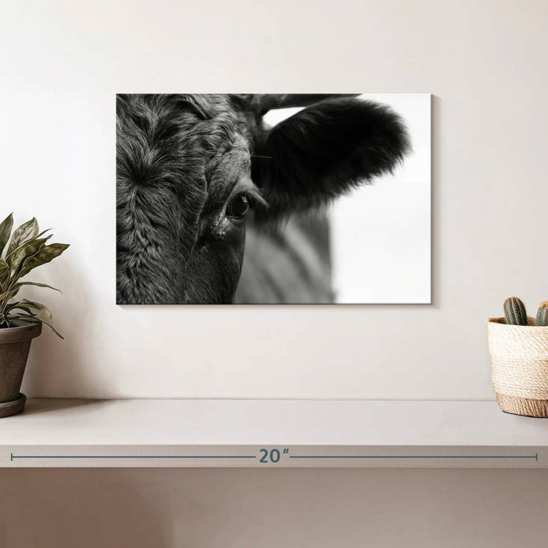 Vache aux yeux noirs Brampt, H 8 po x l 12 po