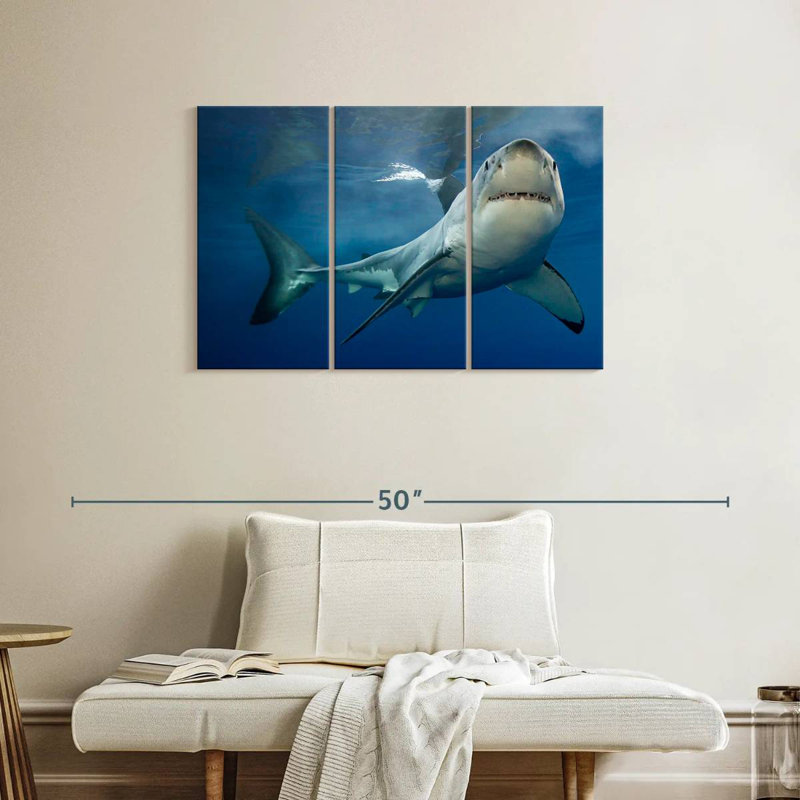 Brampt Shark Pursuit, H 24 po x l 38 po