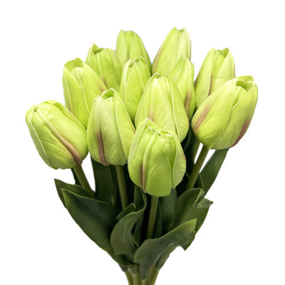 Tiges de tulipe Real Touch
