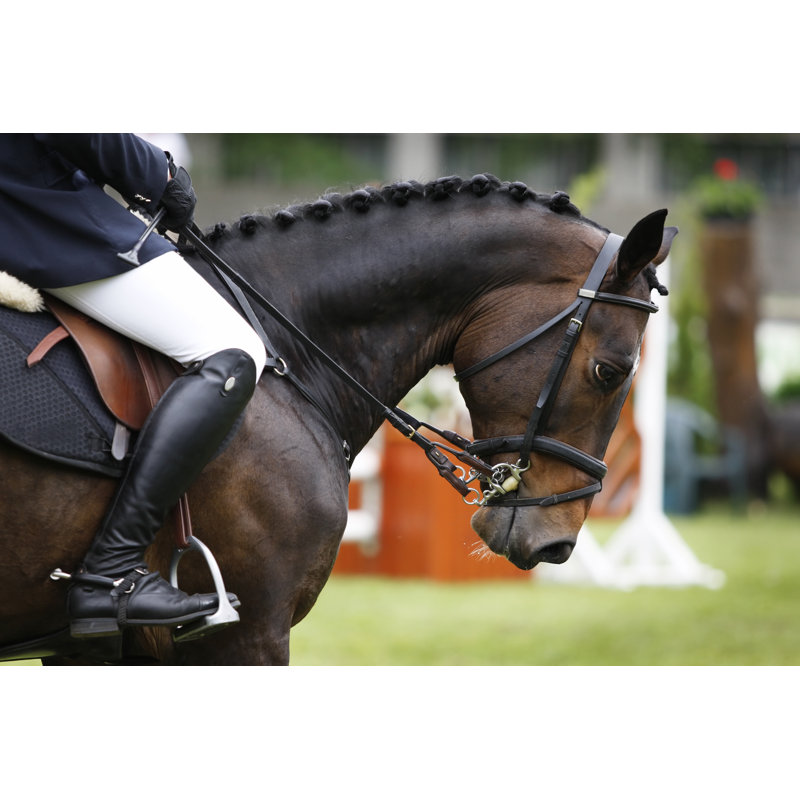 Harmonie entre cheval et cavalier par Somogyvari, H 8 po x l 12 po