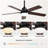 Felicitas 42'' Ceiling Fan with LED Lights-977036135-977036153