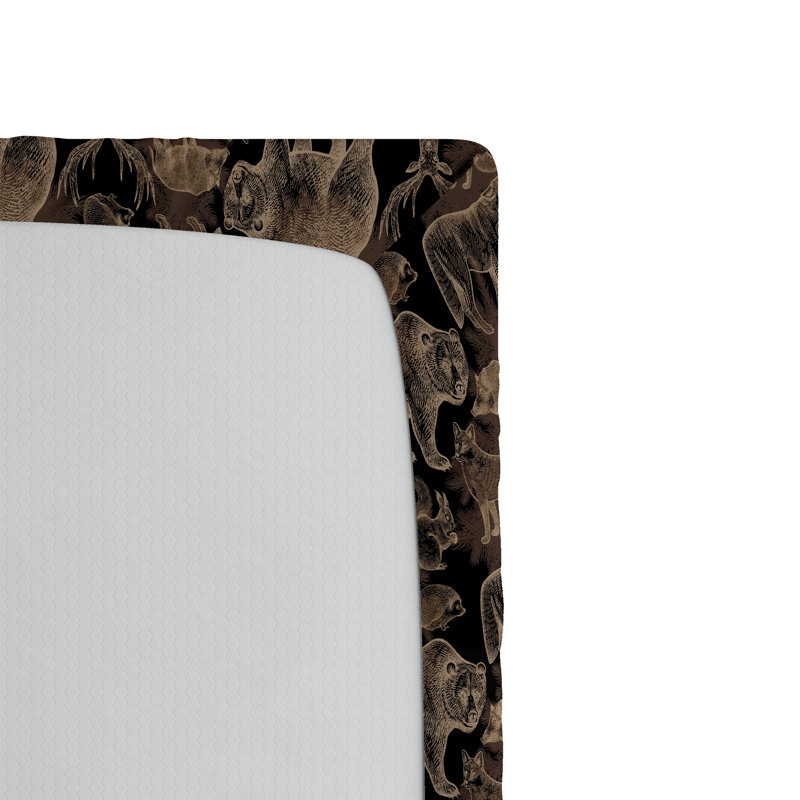 Drap-housse Ambesonne Woodland Wild Bear, Drap-housse de taille simple