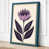 Teal Border