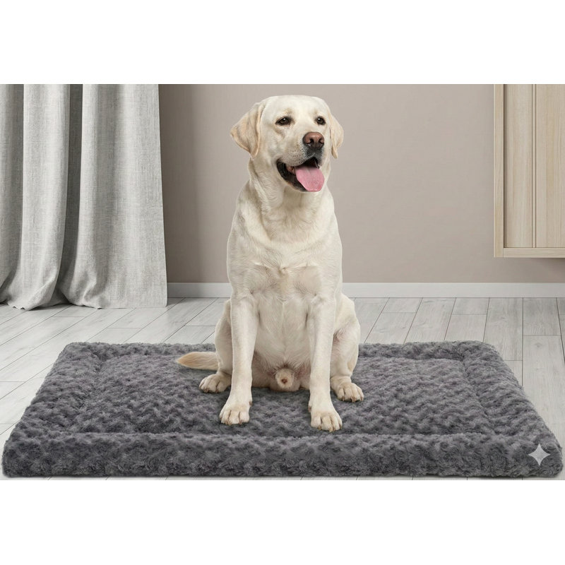 Machine-Washable Ultra-Plush Dog Crate Padding, Comfortable Fluffy Kennel Resting Surface for Large, Jumbo, Medium, and Small Dogs, Measuring 41 by 27 Inches, Gray Color