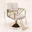 Tabouret de barbier beige 360 ° Fauteuil de coiffure à hauteur réglable pour salon de coiffure-432037742