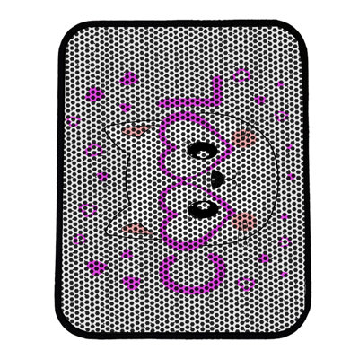 Premium Cat Litter Mat, 18 x 24 inches | 50% PVC / 50% Polyester, Machine Washable & Vacuum Friendly | Durable, Easy-Clean Design for Pet Owners | Protect Your Floors from Litter Messes