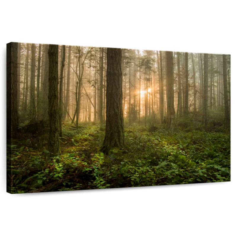 Lever de soleil sur la forêt de l'île Alvord Lummi, H 16 po x l 24 po