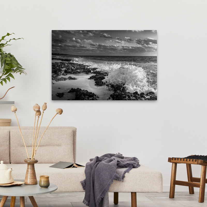 Bord de mer rampant - coquillages côtiers et corail, photographie d'art marin noir et blanc, H 24 po x l 36 po