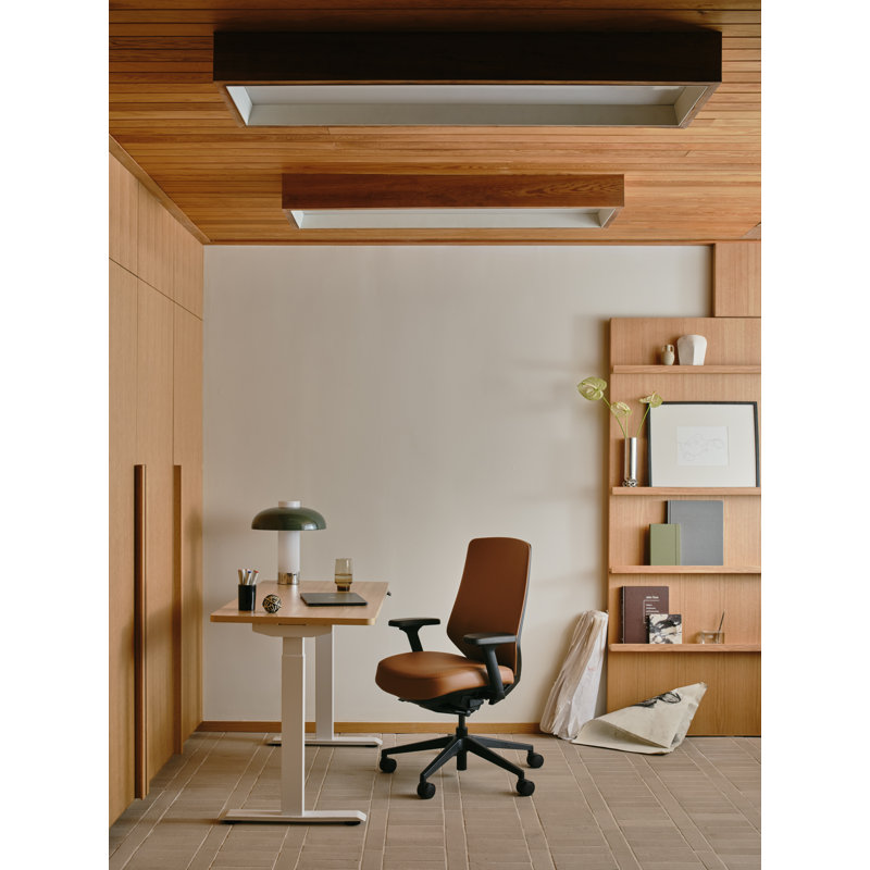 Ergonomic Chair Pro, Black, Canyon
