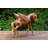Jayanthi Animals Figurines & Sculptures