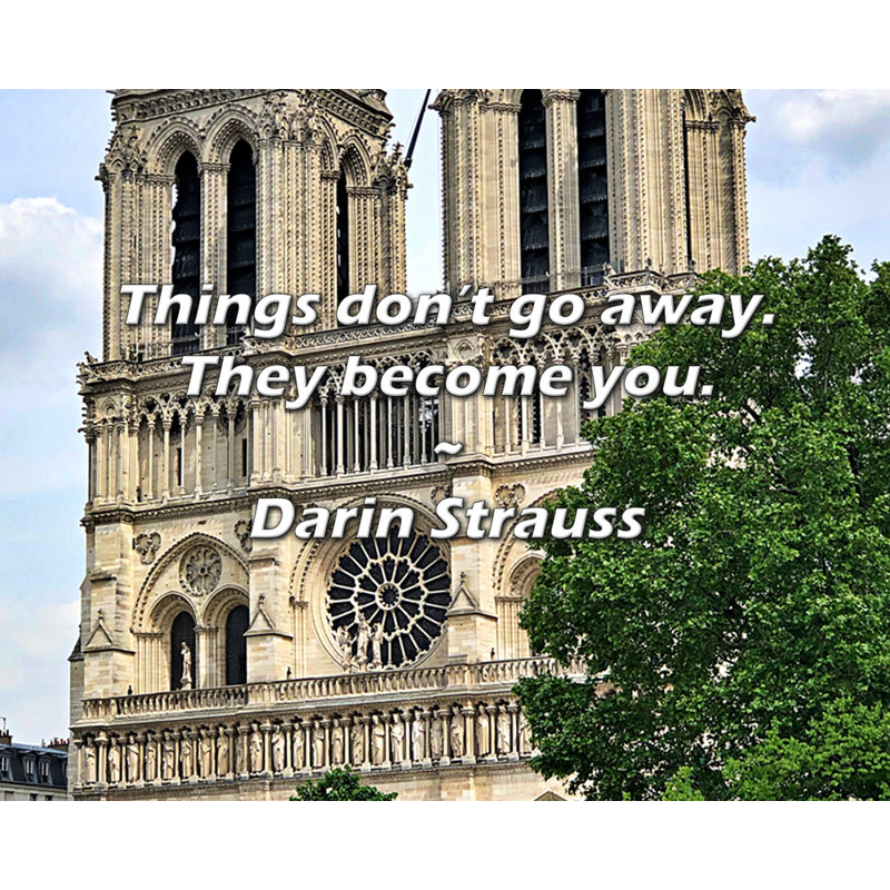 Citation artistique «Les choses ne disparaissent pas. Elles deviennent vous.» Toile tendue par Darin Strauss