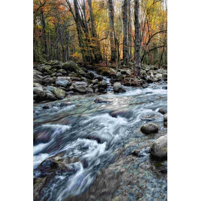" Porters Creek I " by Danny Head