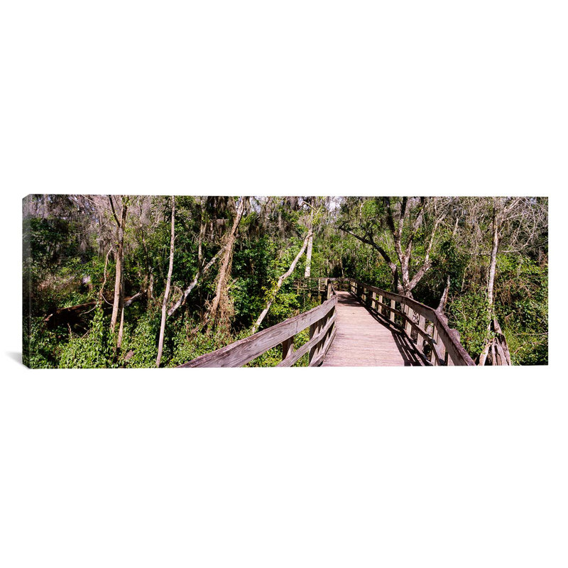 «Boardwalk Passing Through A Forestlettuce Lake Park, Tampa, Hillsborough County, Florida, USA» par Panoramic Images - Estampe numérique sur toile tendue