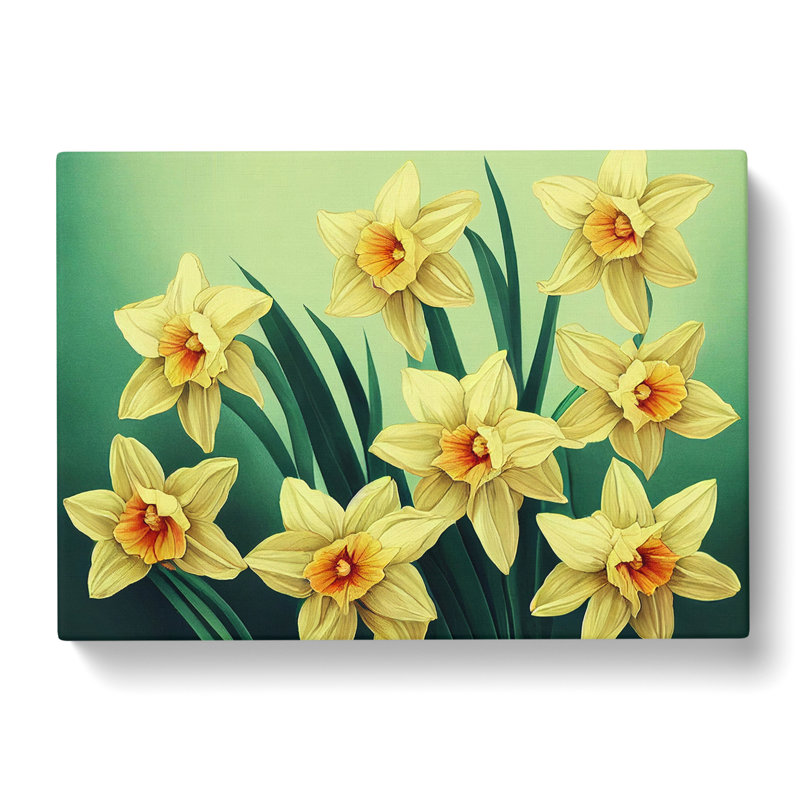 Pleasant Daffodil Flowers - Wrapped Canvas, 35cm H x 50cm W x 3cm D