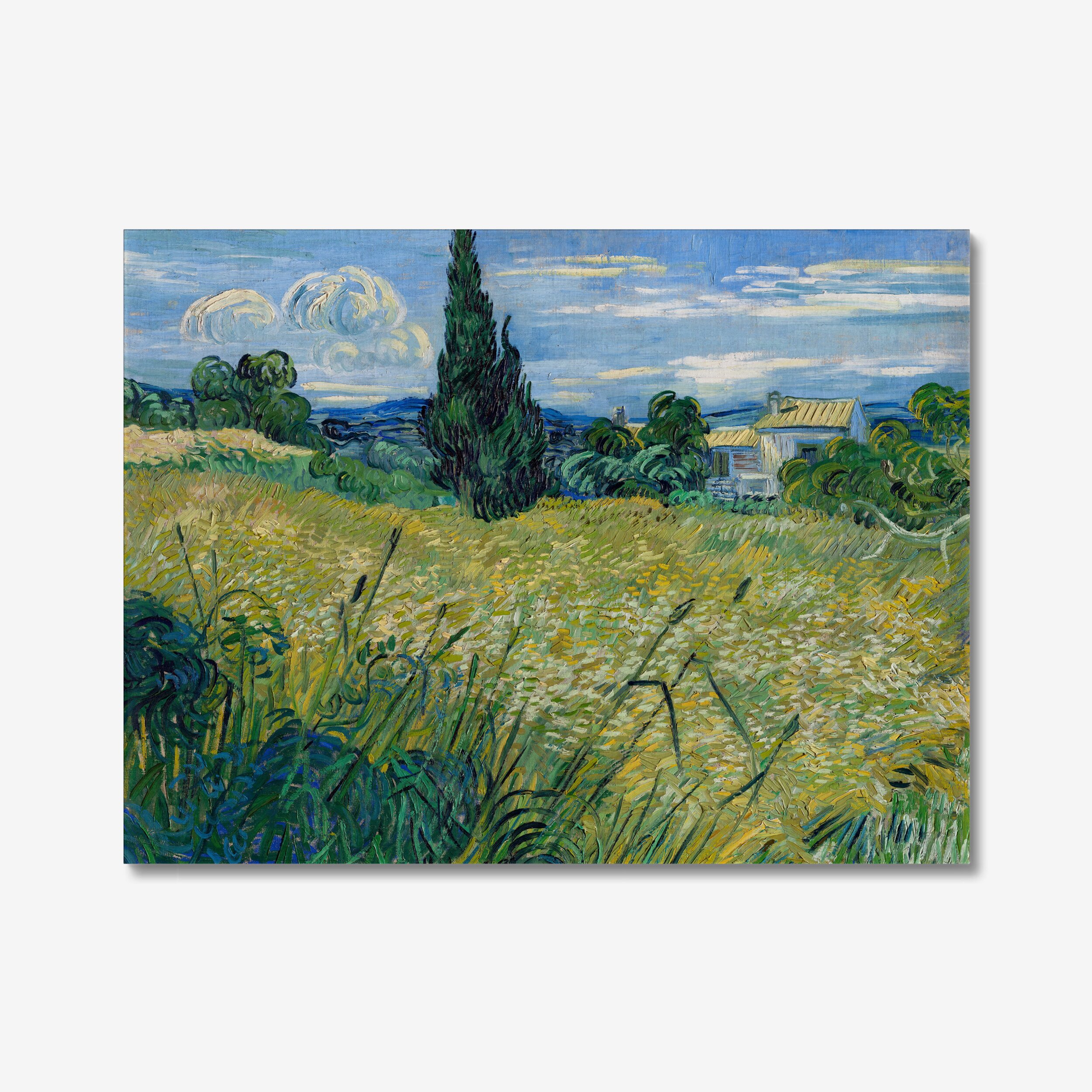 Vault W Artwork Green Wheat Field By Vincent Van Gogh | Wayfair