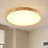 Teliea Acrylic LED Flush Mount