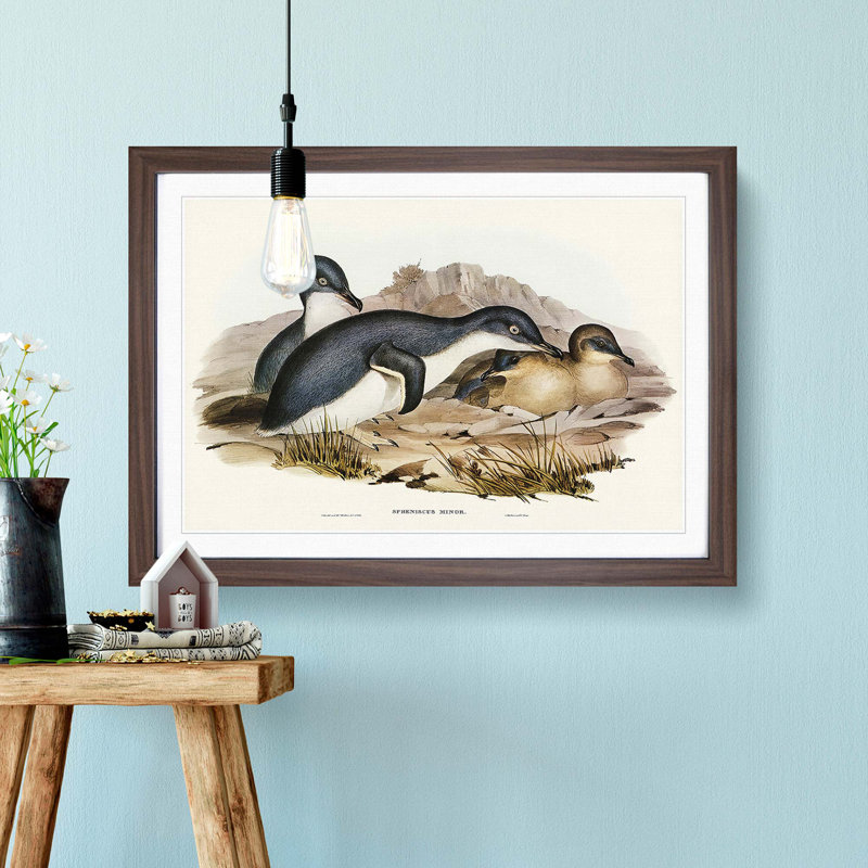 Little Penguins by Elizabeth Gould - Picture Frame Painting Print, 48cm H x 65cm W x 2cm D, Walnut Framed