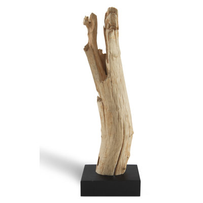 Bois flotté sur pied