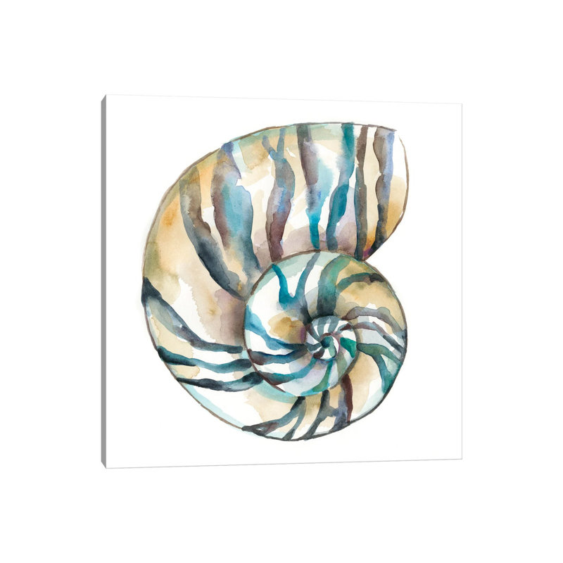 Aquarelle coquillages II, H 12 po x l 12 po x P 0,75 po