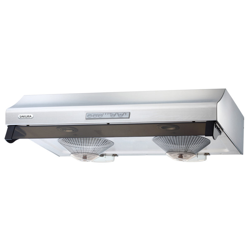 Hotte sous un meuble à conduit 29,75 "750 CFM en acier inoxydable