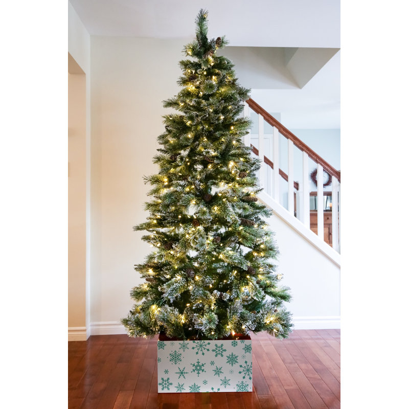 Solution d’entretien d’arbre de protection contre les flocons de noël