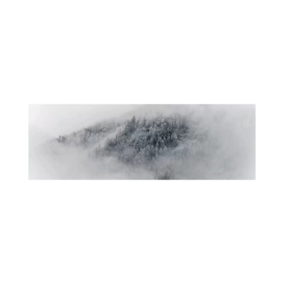Details Of Snowy Trees In Chamonix, France by Alex Buisse - Wrapped Canvas Panoramic Print
